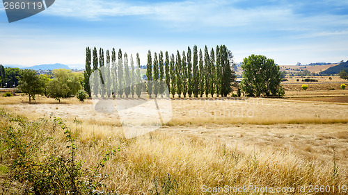 Image of Tasmania Landscape