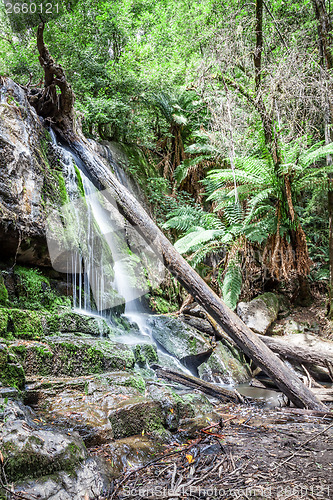 Image of waterfall Tasmania