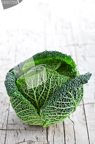 Image of fresh savoy cabbage