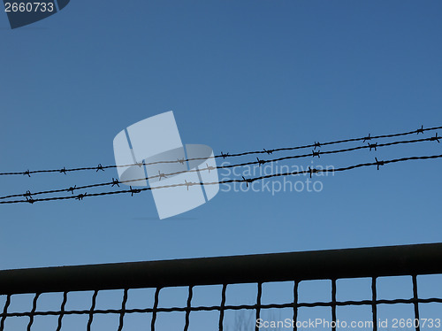 Image of Barbed wire