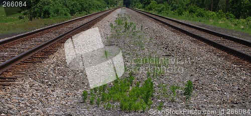 Image of Twin Tracks