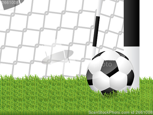 Image of Classic soccer ball in grass