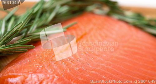 Image of Piece fresh salmon with spices