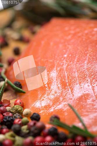 Image of Piece fresh salmon with spices