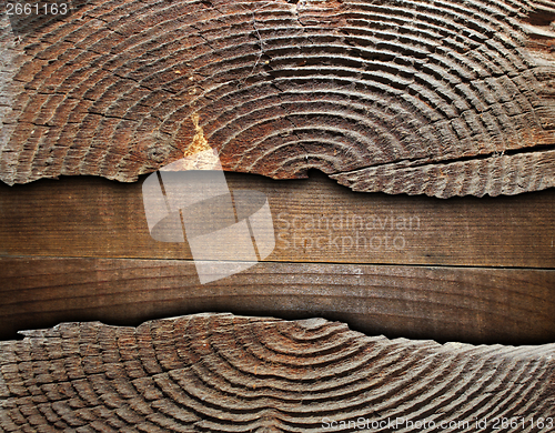 Image of cracked spruce stump over plywood