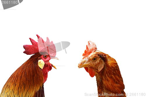 Image of concept of family argue