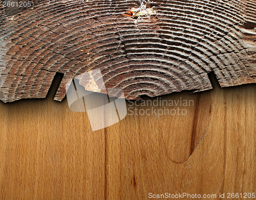 Image of interesting combined wood texture