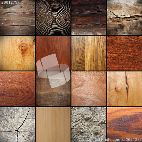 Image of large collection of wood textures