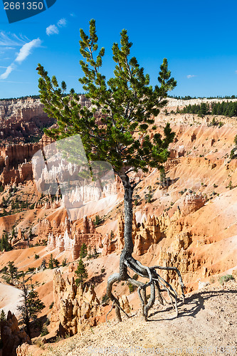 Image of Bryce Canyon