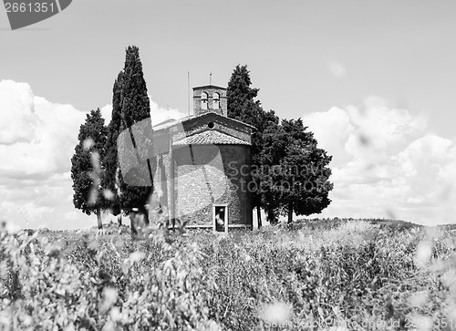 Image of Tuscan country