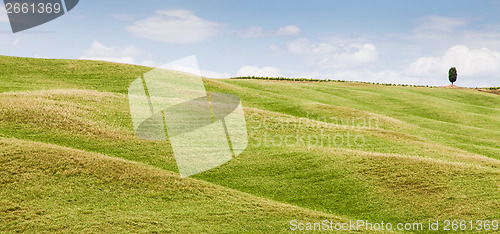 Image of Tuscany agriculture