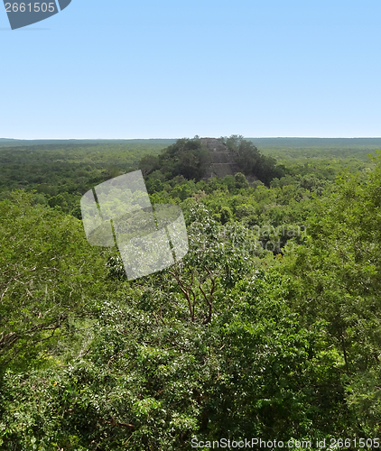 Image of distant temple at Calakmul