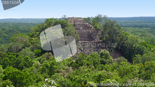 Image of overgrown temple at Calakmul