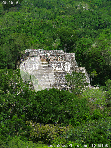 Image of temple at Calakmul