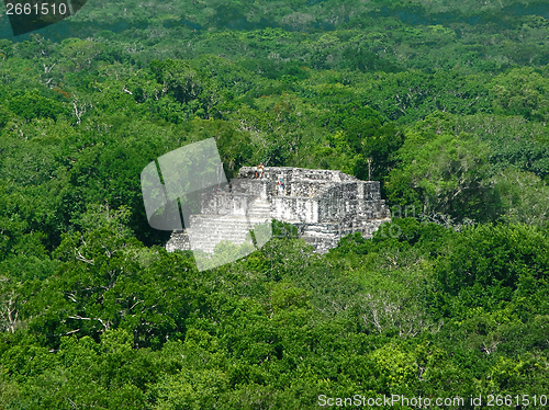 Image of mayan temple at Calakmul