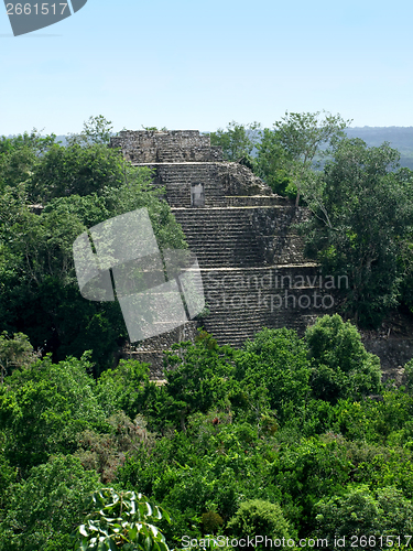 Image of temple at Calakmul