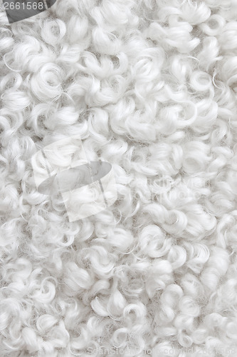 Image of White sheepskin background