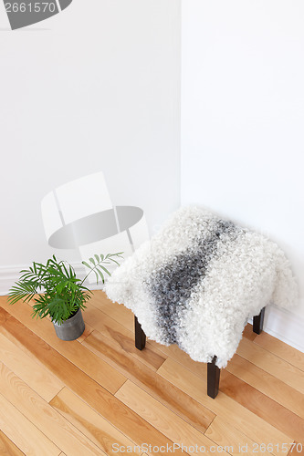 Image of Green plant and stool covered with sheepskin in the room corner