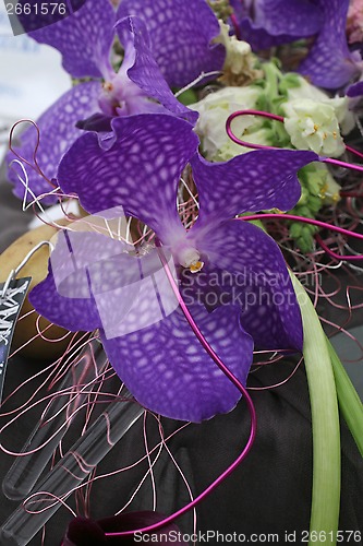 Image of Beautiful orchid flowers