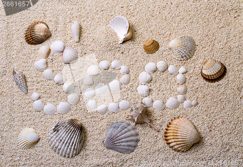 Image of Title "Sea" from shells with coral sand