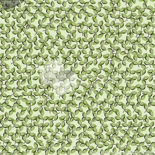 Image of leaf green background