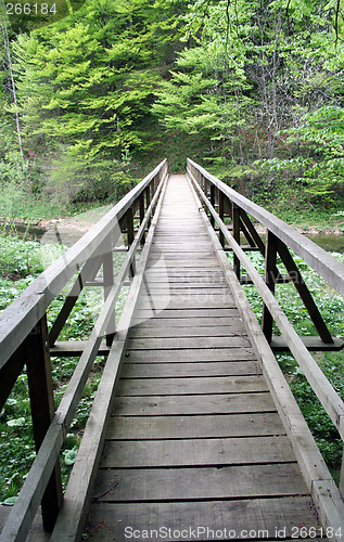 Image of Wooden bridge