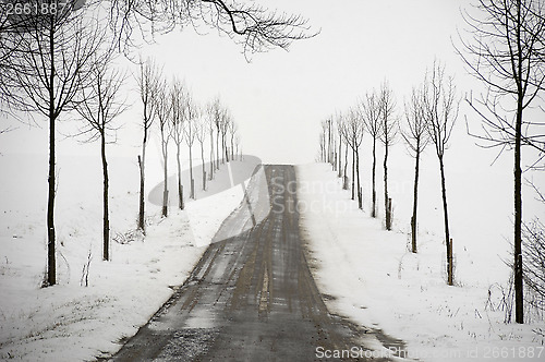 Image of Road at winter