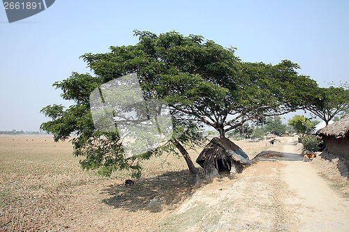 Image of Bengali village