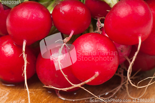 Image of Small garden radish on wooden board