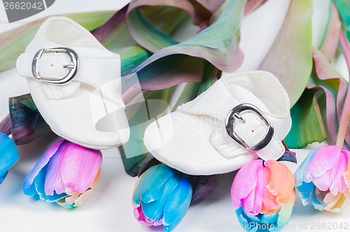 Image of Baby shoes and unusual multi colored tulips