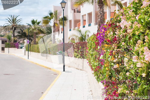 Image of Beautiful fence of multicolored flowers