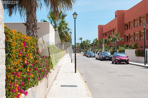 Image of Fence of multicolored flowers