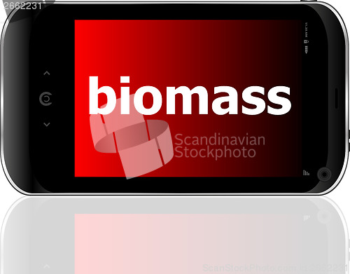 Image of biomass word on smart mobile phone, business concept