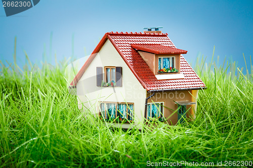 Image of House on the green grass