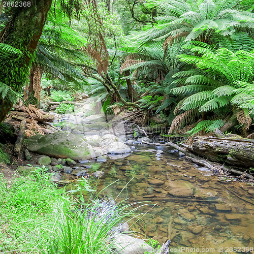 Image of tropical Australia