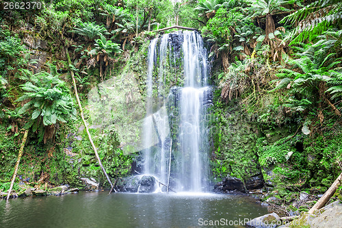 Image of waterfall Tasmania