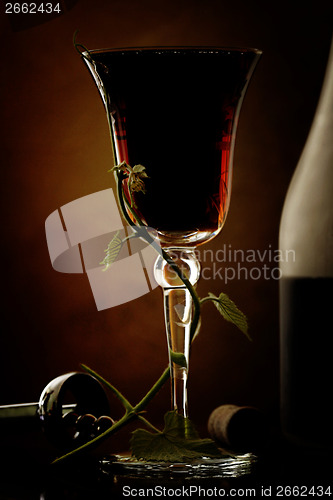 Image of Red wine