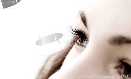 Image of Gyrls Eye - perspective focus. Macro; Focus on pupil. Isolated o