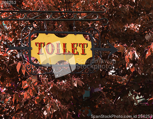 Image of yellow old-fashioned toilet sign