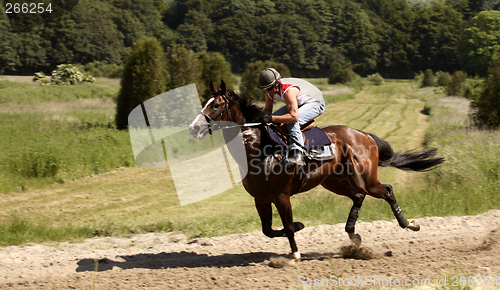 Image of the jockey