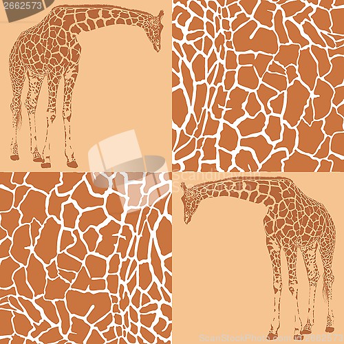 Image of Giraffe patterns for wallpaper
