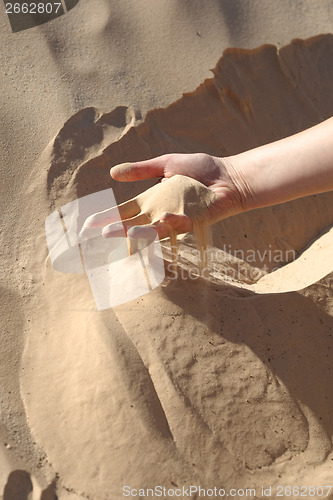 Image of Hand in Sahara sand