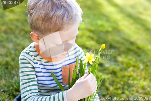 Image of spring time