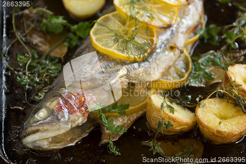 Image of Baked Rainbow Trout