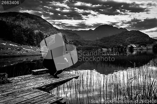 Image of black and white landscape