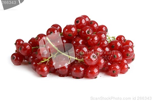 Image of Redcurrant