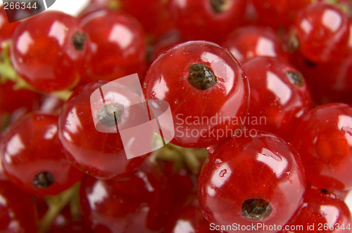 Image of redcurrant