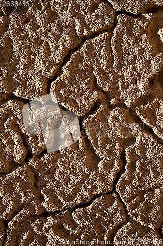 Image of texture rock abst of a   stone and lichens 