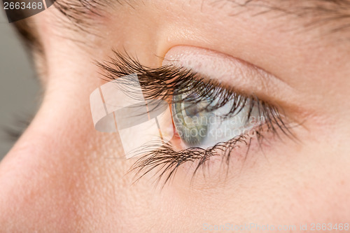 Image of teenager eye macro