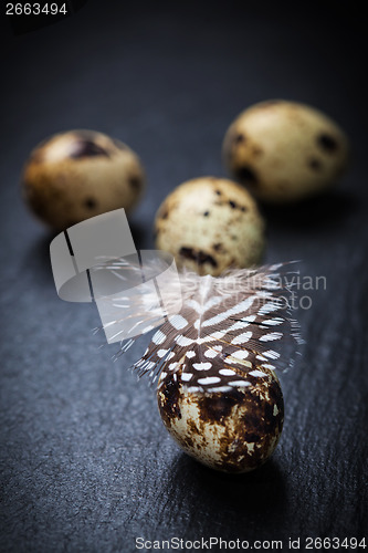 Image of Easter still life with quail eggs